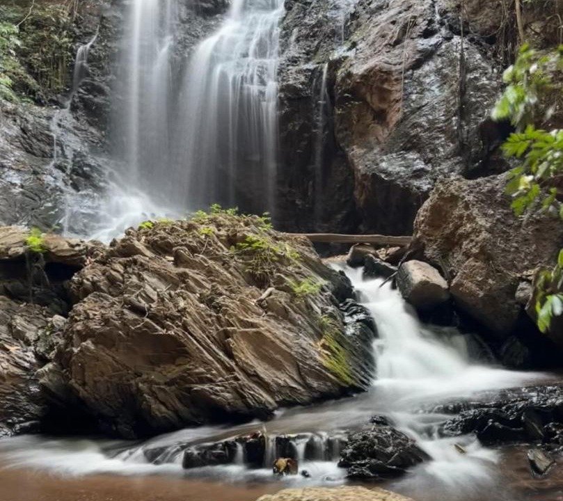 Photo of Others in Chikkamagaluru