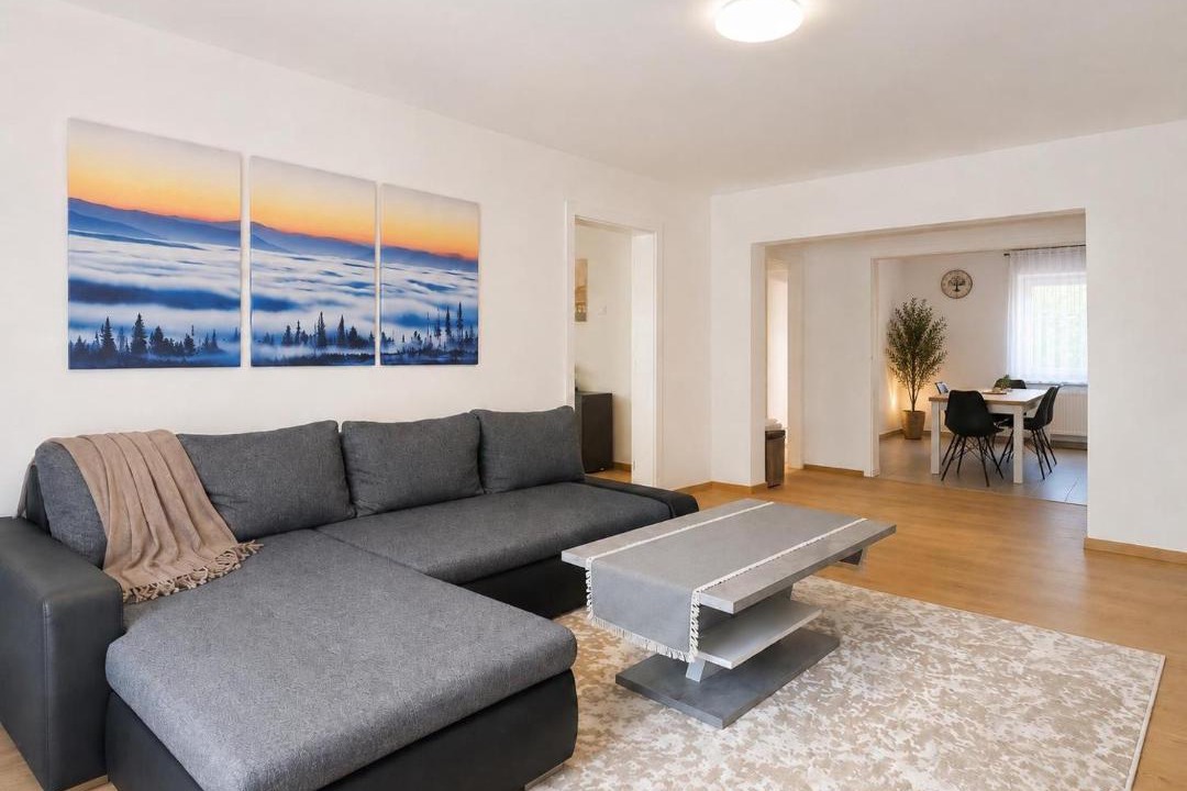 Photo of Livingroom in Baia Mare