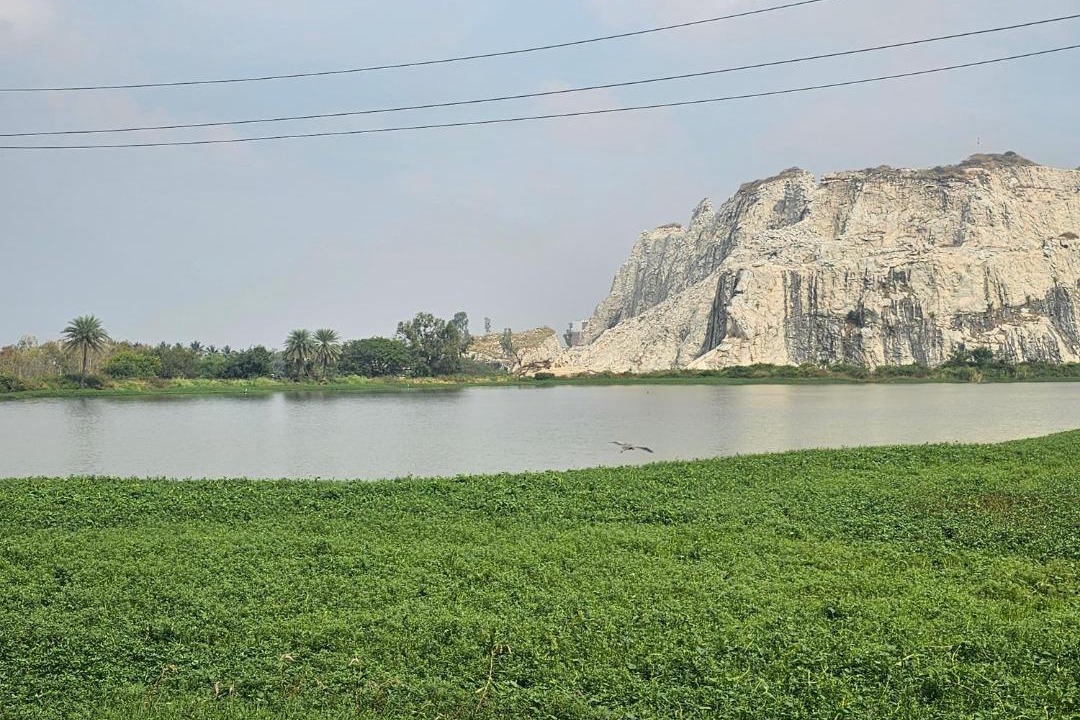 Photo of Others in Narasapura