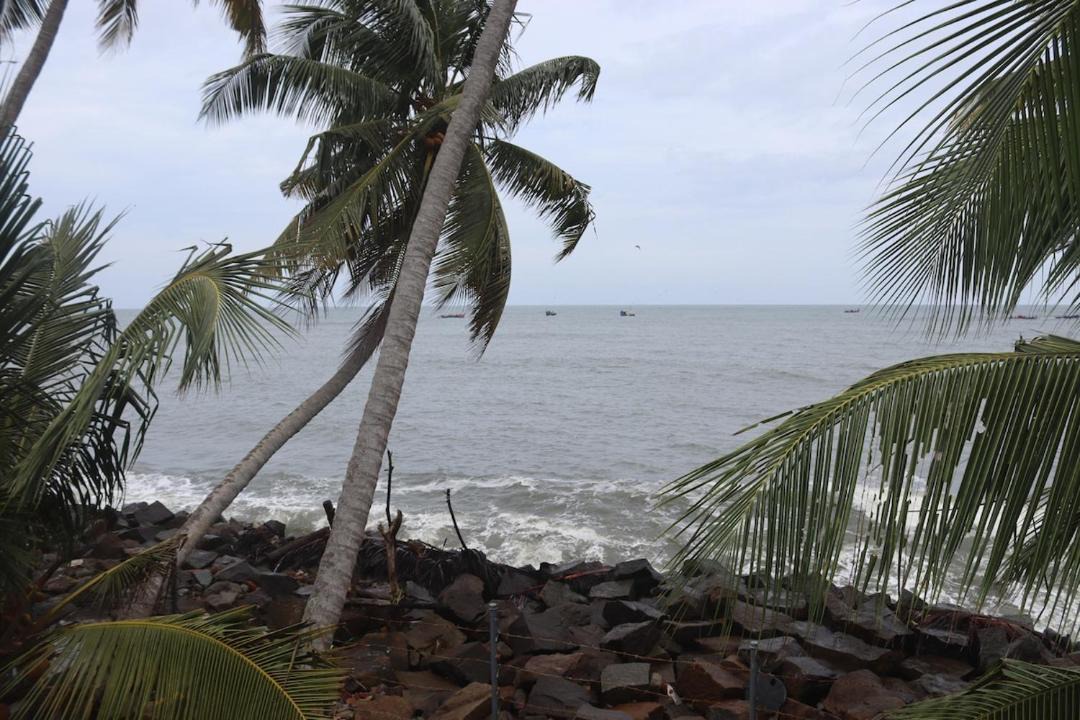 Photo of Others in Kumbalam