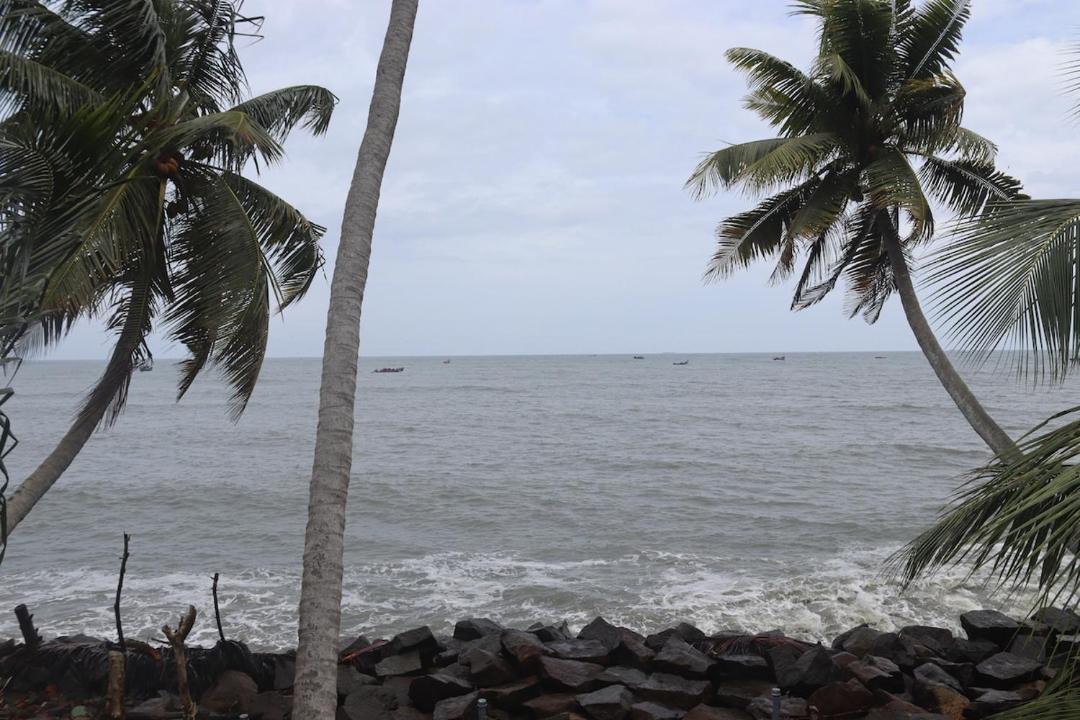 Photo of Others in Kumbalam