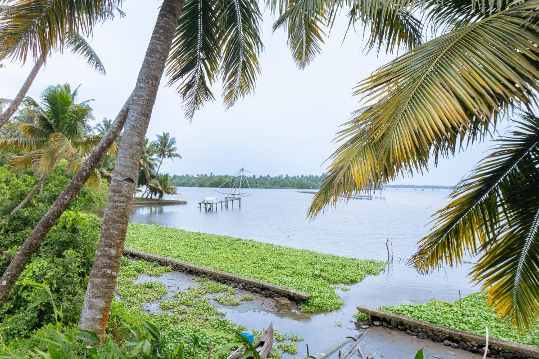 Photo of Others in Kumbalangi