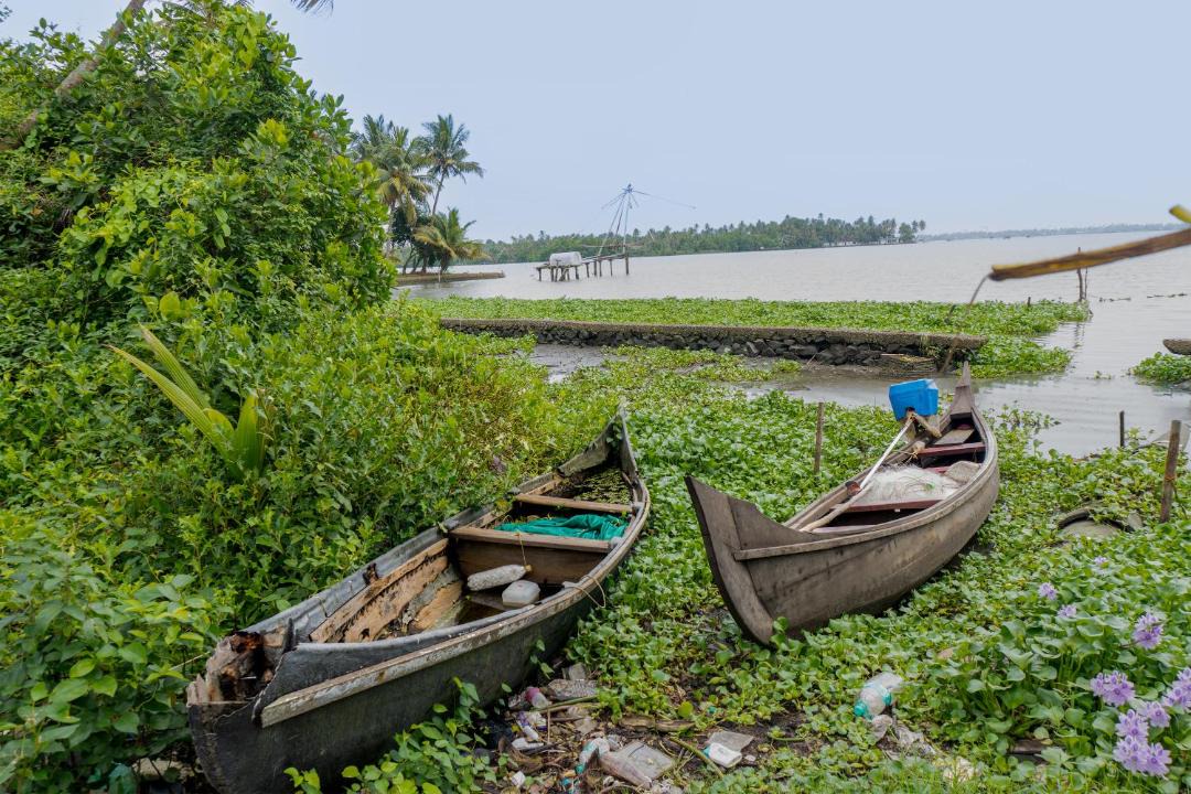 Photo of Others in Kumbalangi