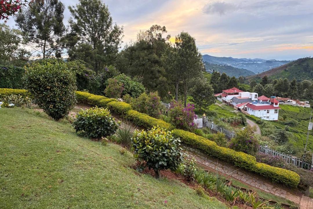 Photo of Others in Wellington