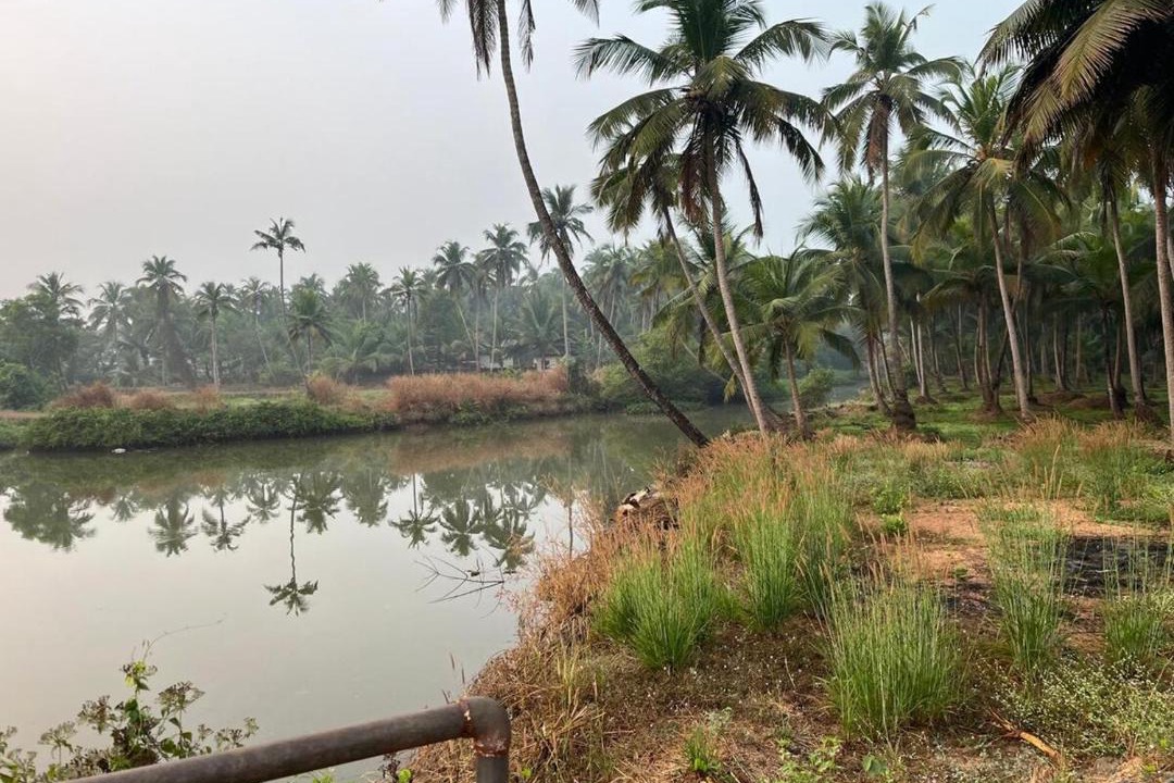 Photo of Others in Udupi