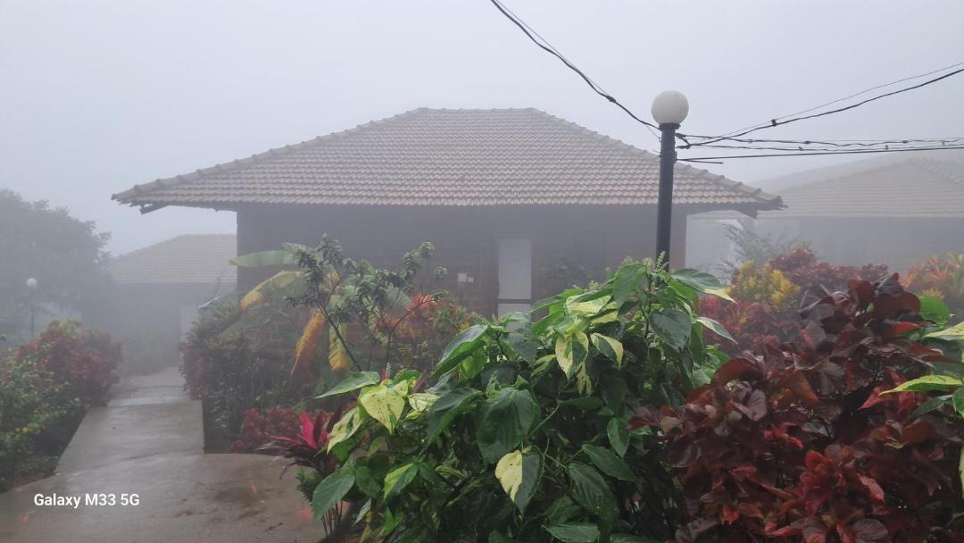 Photo of Others in Amboli
