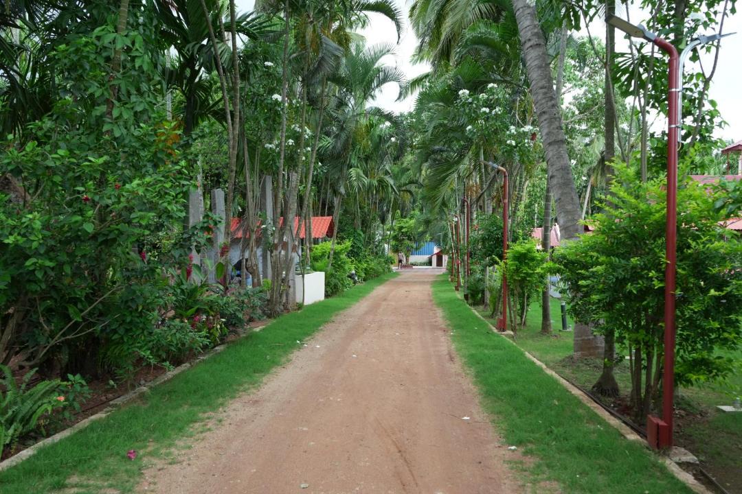 Photo of Others in Nandigunda