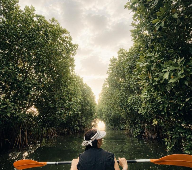 Photo of Others in Munroe Island