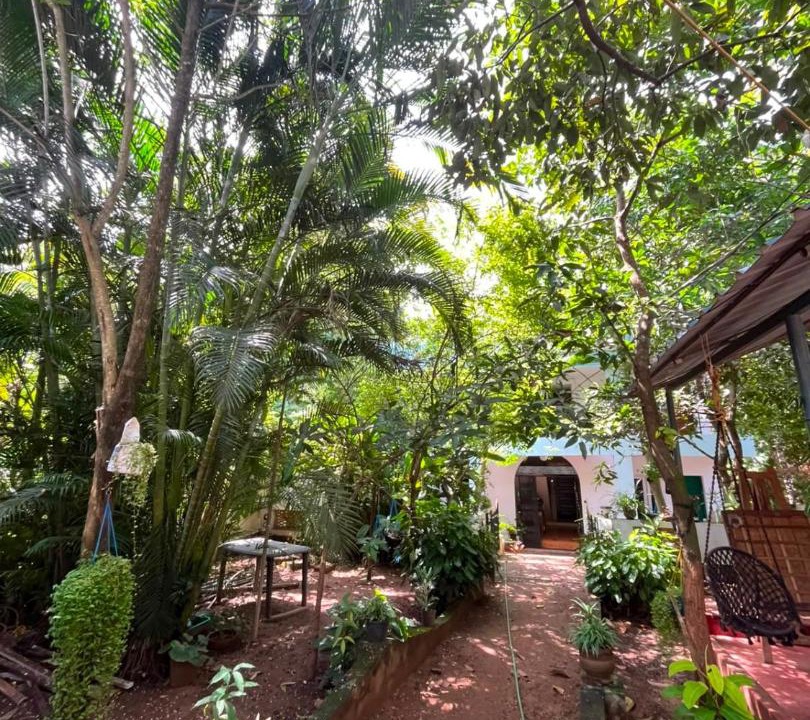 Photo of Others in Varkala