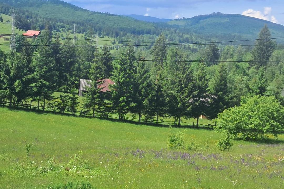 Photo of Others in Izvoru Muresului