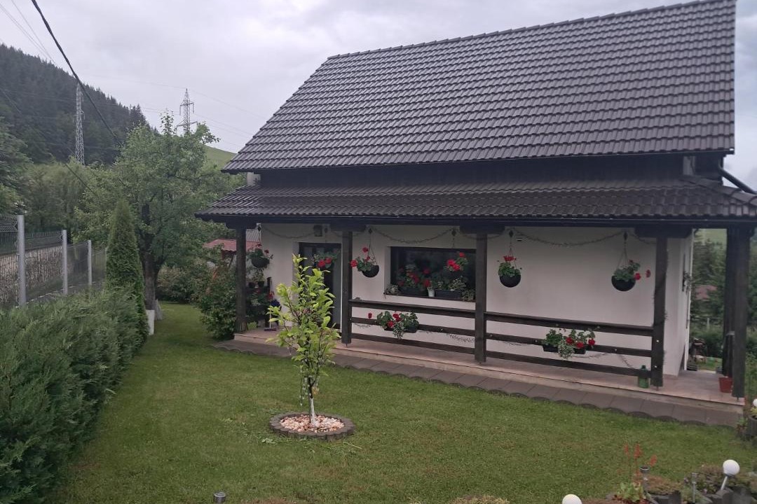 Photo of Others in Izvoru Muresului