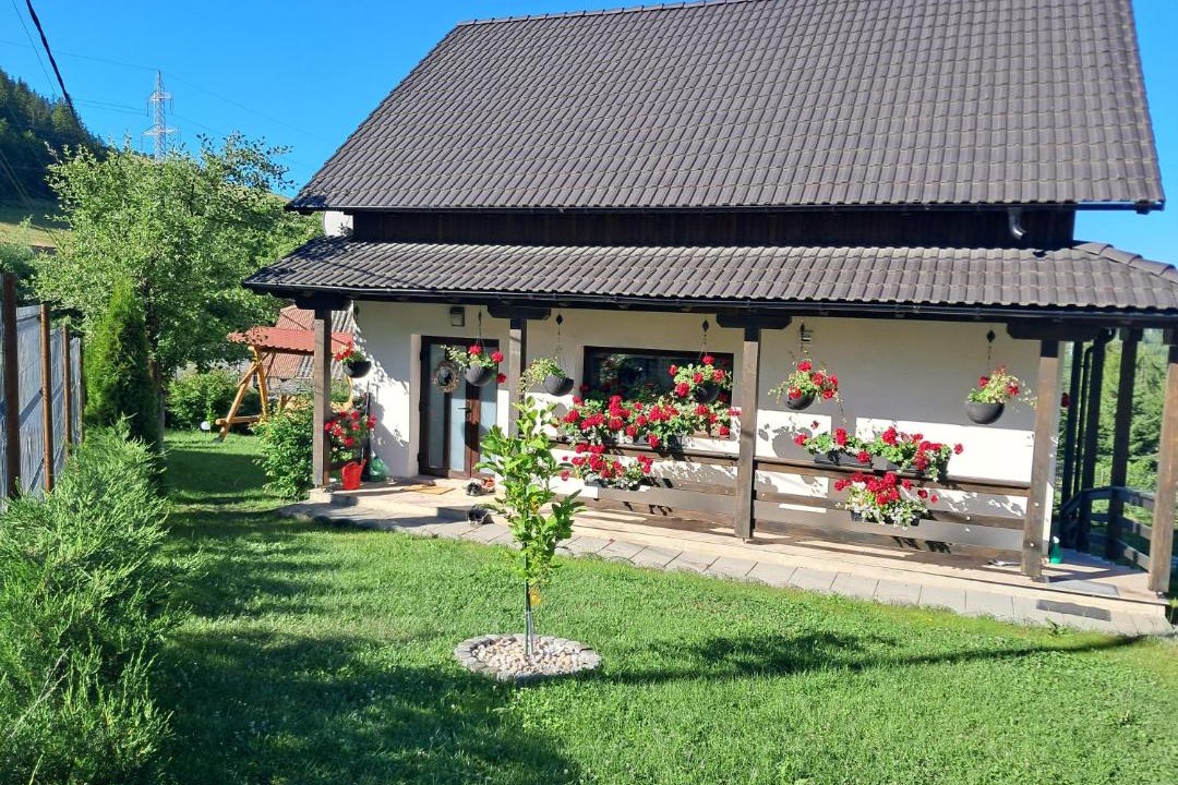Photo of Others in Izvoru Muresului