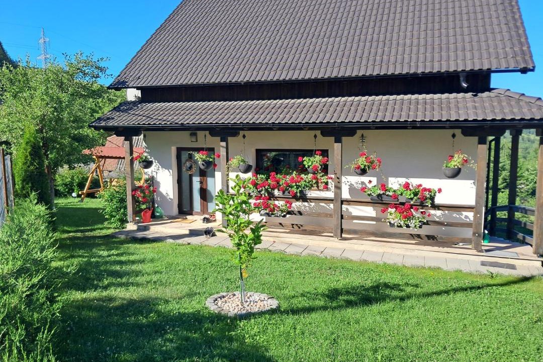 Photo of Others in Izvoru Muresului