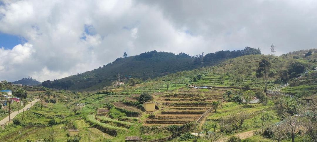 Photo of Others in Kodaikanal