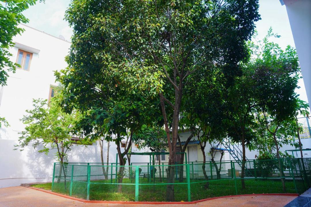Photo of Others in Navalur
