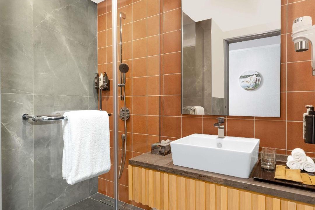 Photo of Bathroom in Mysore