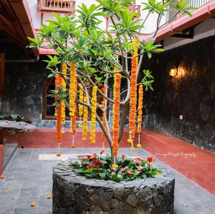 Photo of Others in Madikeri