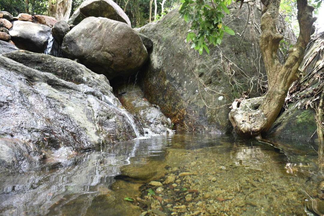 Photo of Others in Elappara