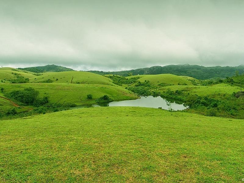 Photo of Others in Elappara