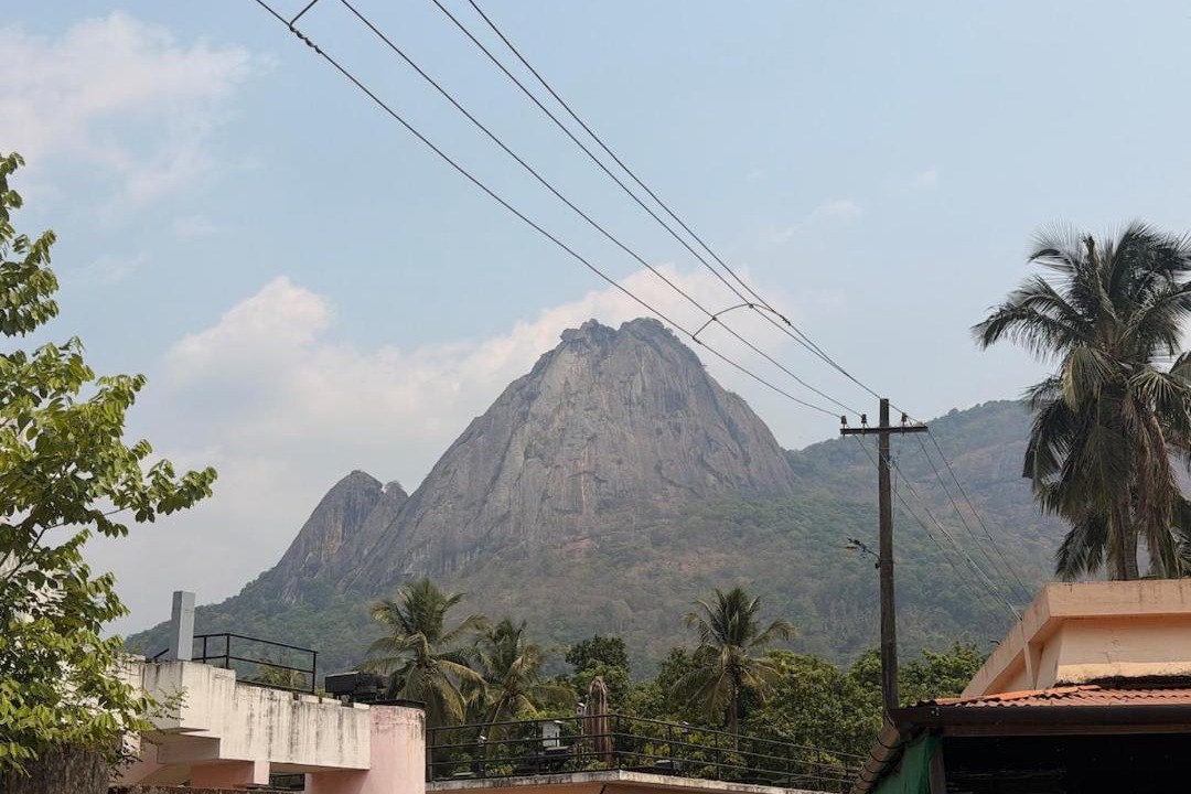 Photo of Others in Mannarkkad
