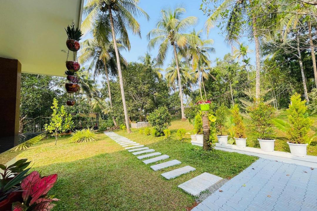 Photo of Others in Kunnamangalam