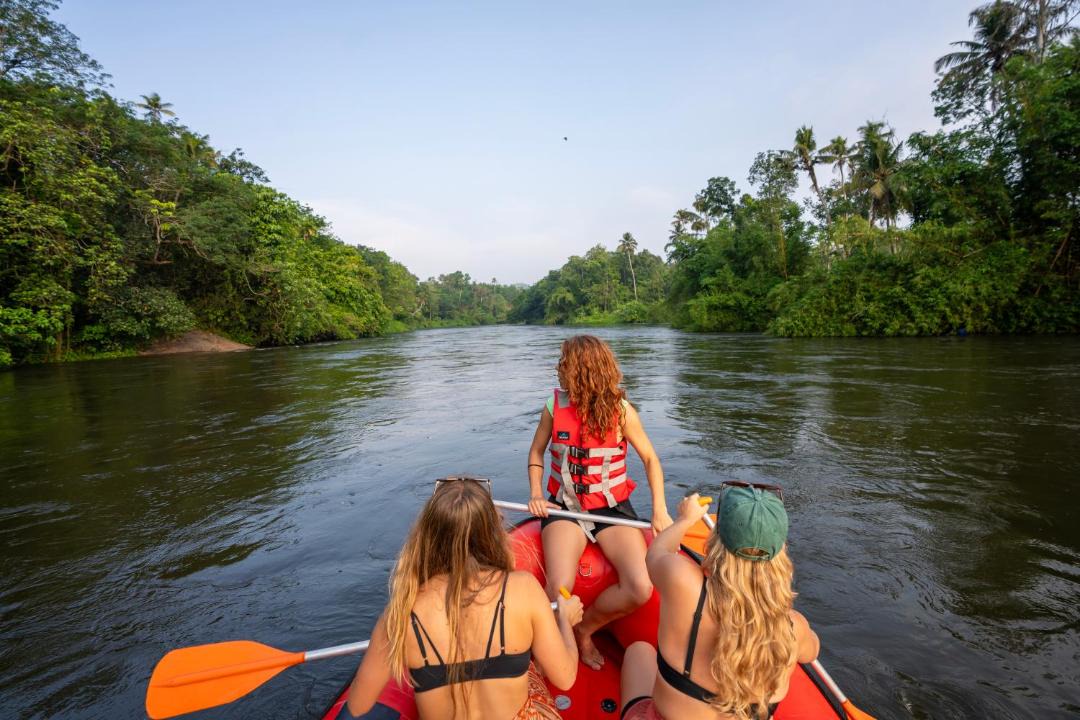 Photo of Others in Muvattupuzha