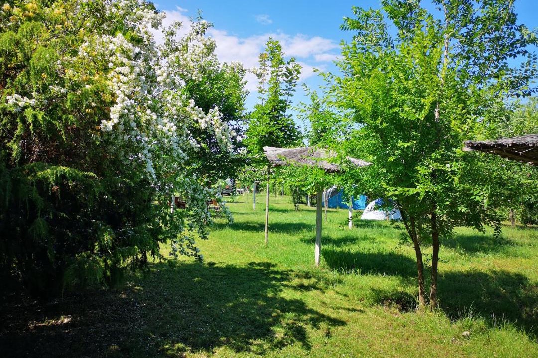 Photo of Outdoor in Vama Veche