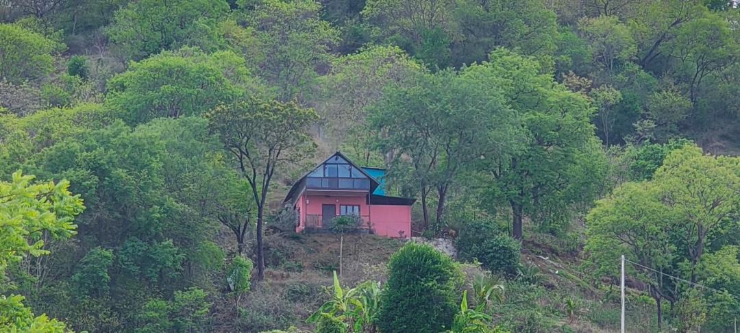 Photo of Others in Mannarkkad