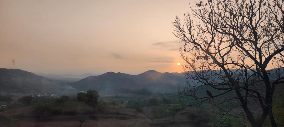 Photo of Others in Mannarkkad