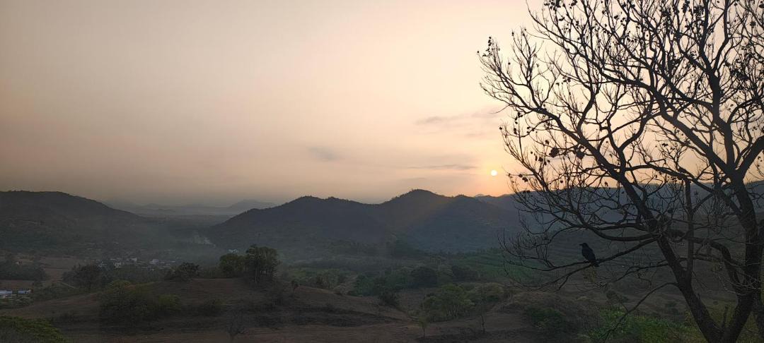 Photo of Others in Mannarkkad