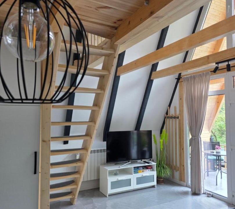 Photo of Livingroom in Gura Raului
