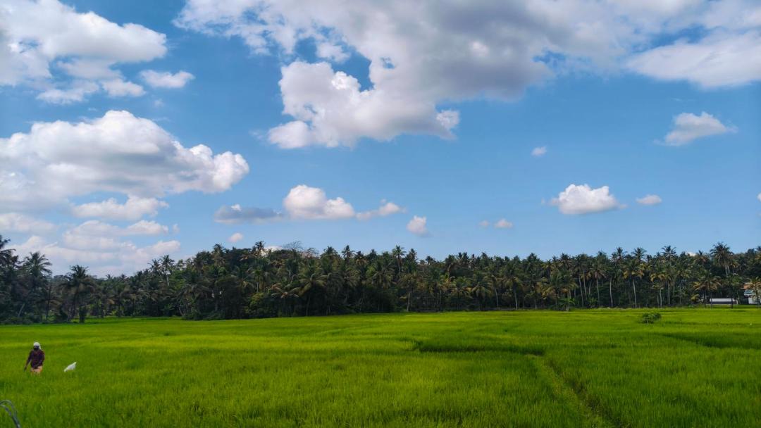 Photo of Others in Varkala