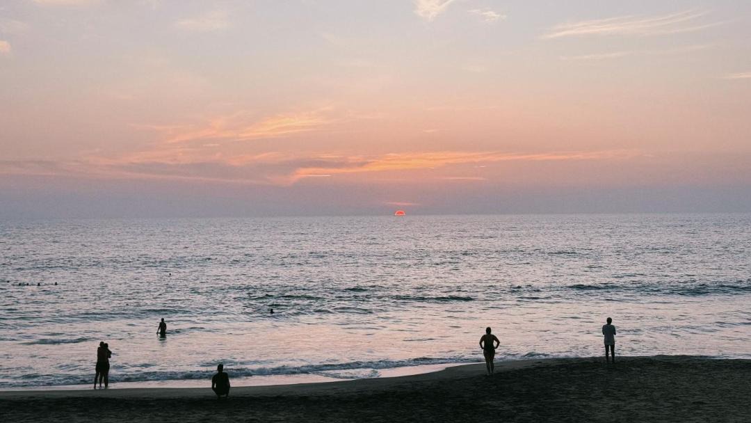 Photo of Others in Varkala