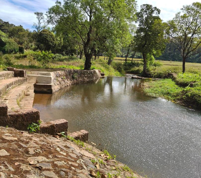 Photo of Others in Sakleshpur