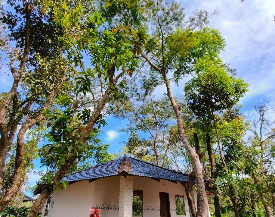 Photo of Others in Sakleshpur