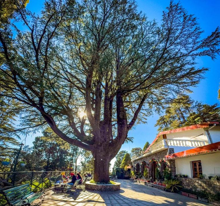 Photo of Others in Landour