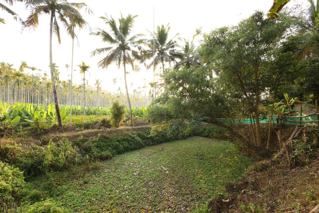 Photo of Others in Panamaram