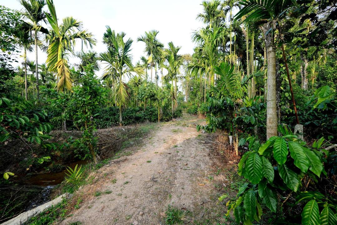Photo of Others in Mudigere