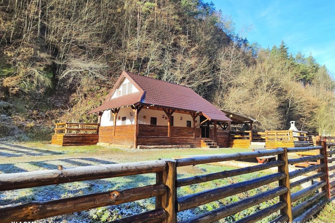 Photo of Others in Brezoi