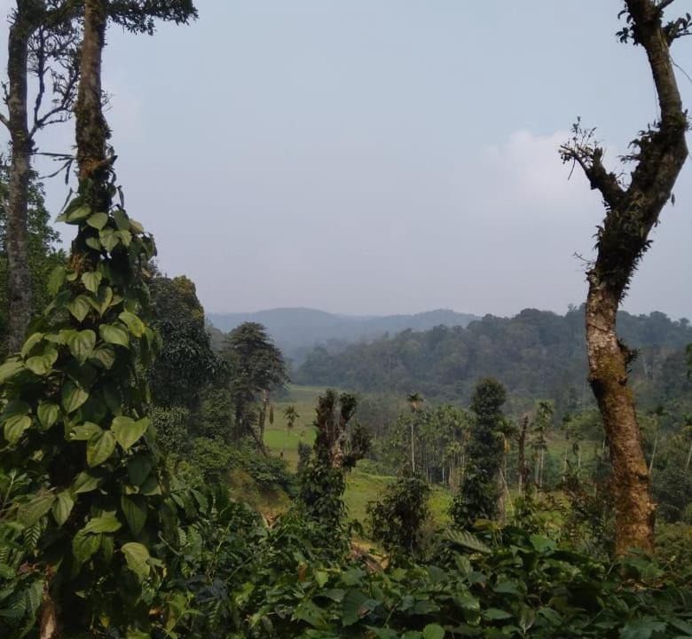 Photo of Others in Madikeri