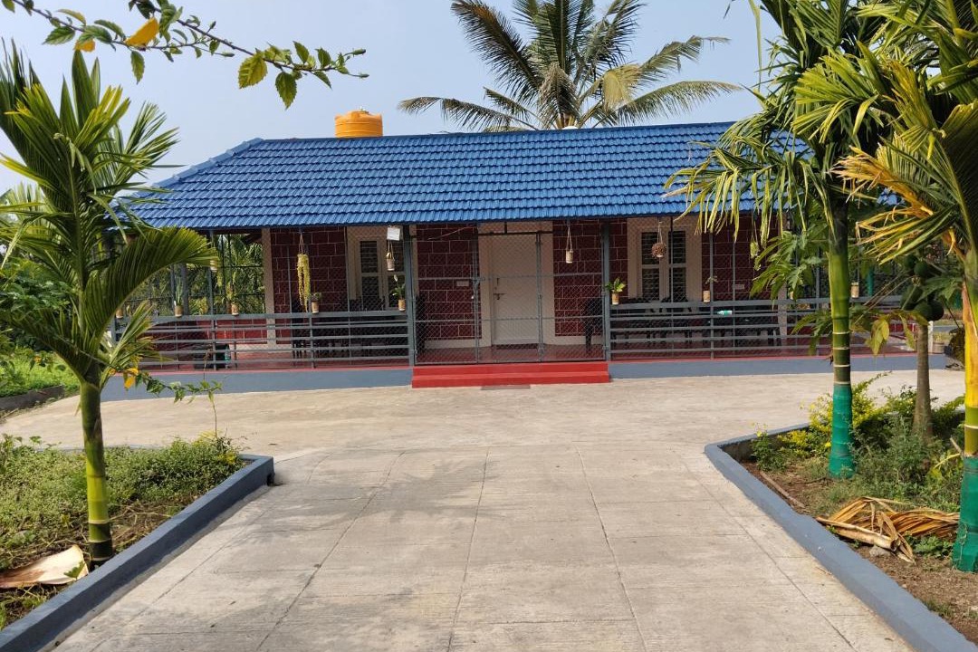 Photo of Others in Piriyapatna