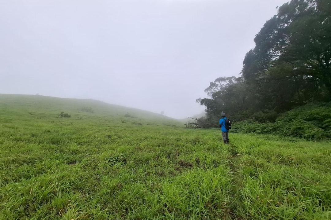 Photo of Others in Agumbe