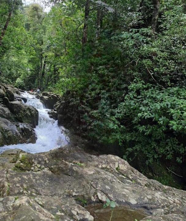 Photo of Others in Agumbe