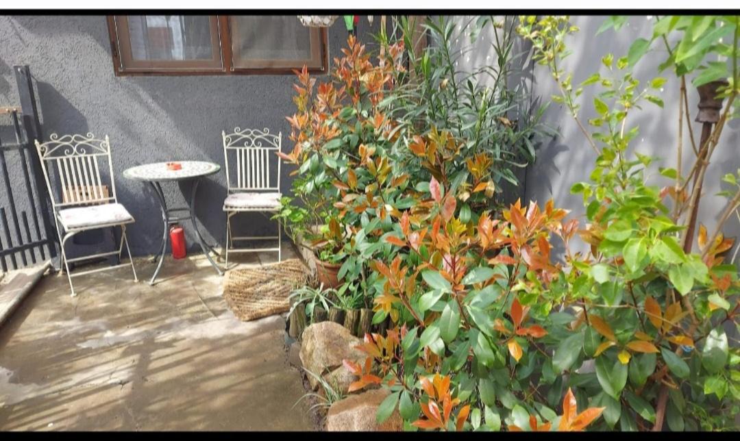 Photo of Patio Balcony in Timisoara