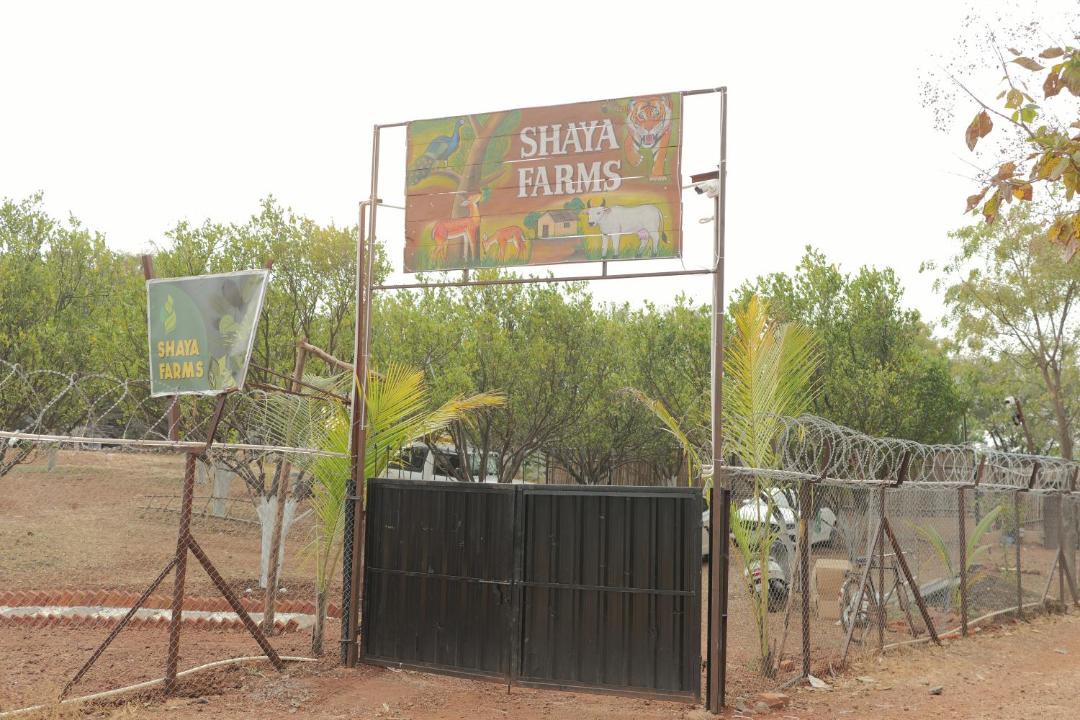 Photo of Others in Karanja