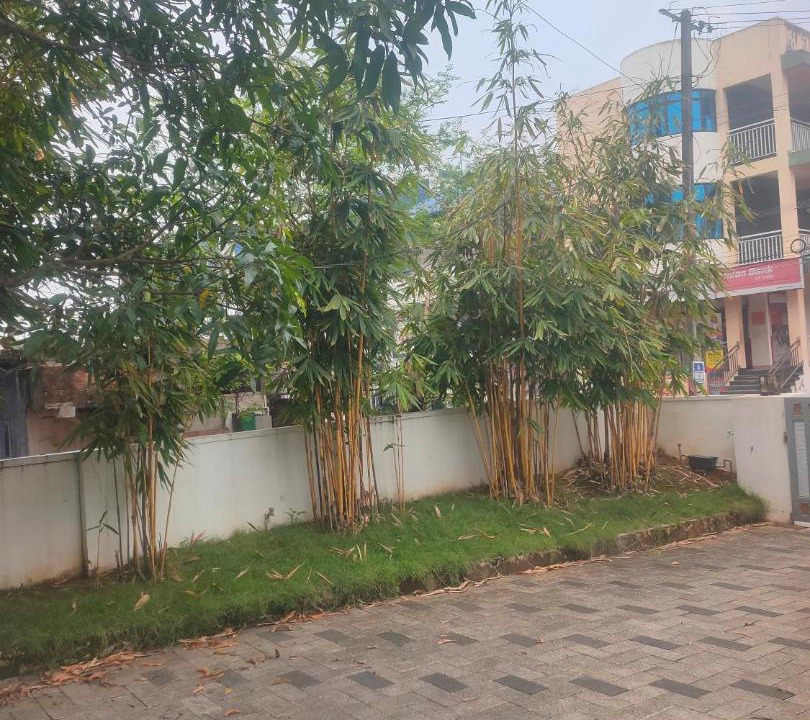 Photo of Others in North Paravur