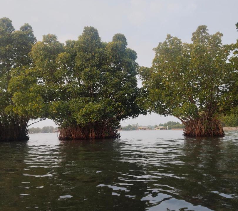 Photo of Others in Munroe Island