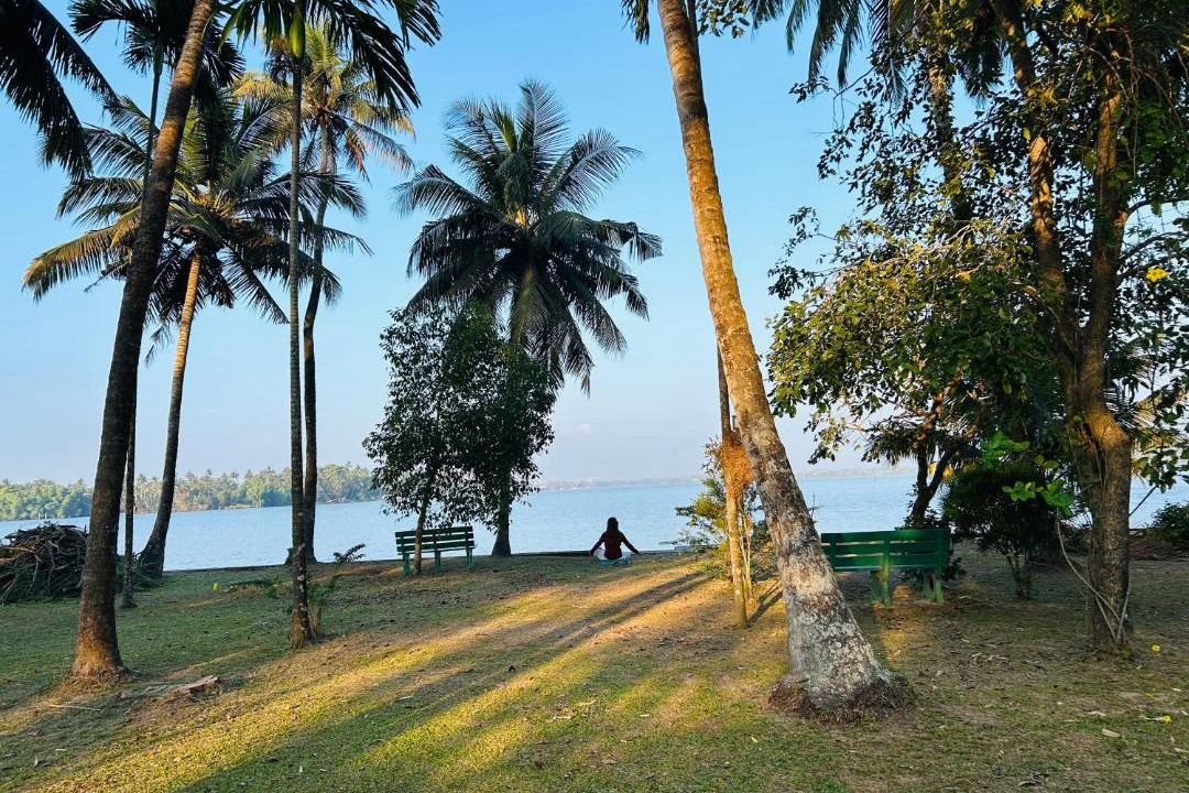 Photo of Others in Kumbalangi