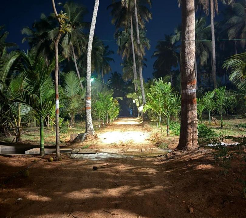 Photo of Others in Pandavapura