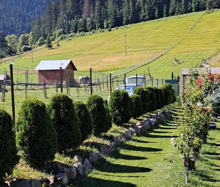 Photo of Others in Campulung Moldovenesc
